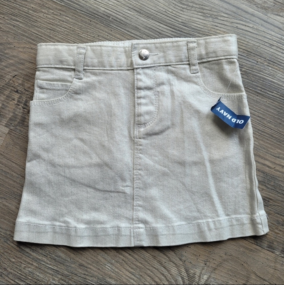 Shimmery Skirt